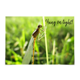 Cartão de Encorajamento de Dragonfly Engraçado "