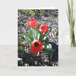 Cartão de encorajamento Inspiracional para Feriado