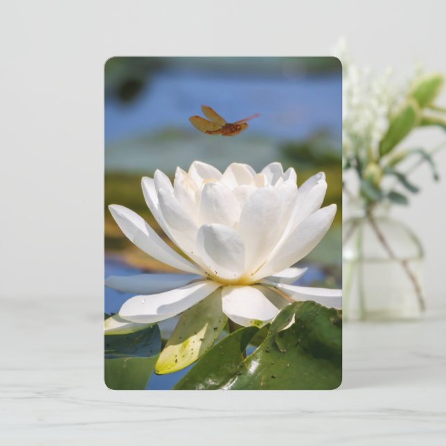 Cartão de Encorajamento: Sem lama, sem lótus (Em pé/Frente)