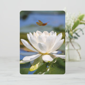 Cartão de Encorajamento: Sem lama, sem lótus