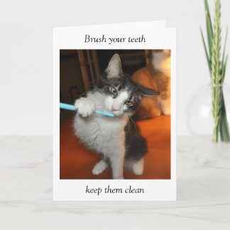 Cartão de escovadela dos dentes do gato
