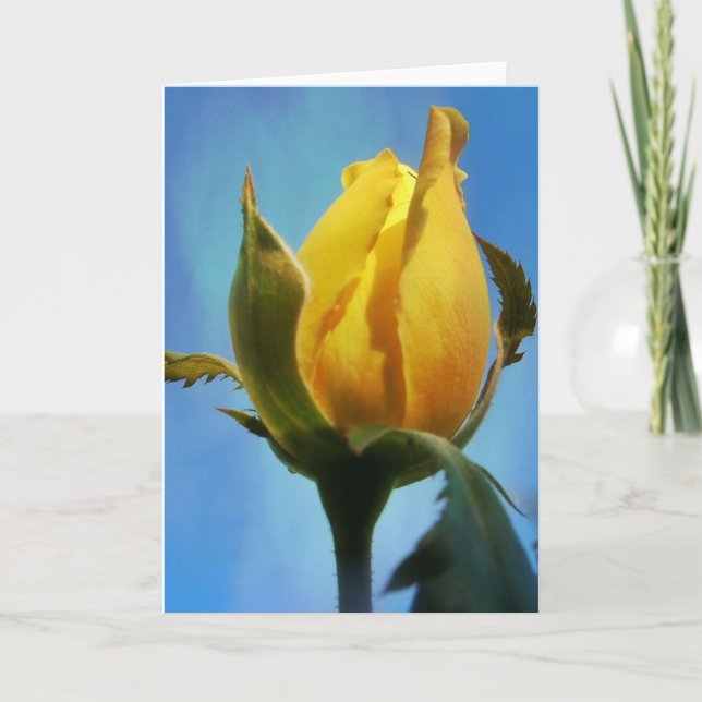 Cartão de Escritura Rosa Amarelo - Lamentações 3:2 (Frente)