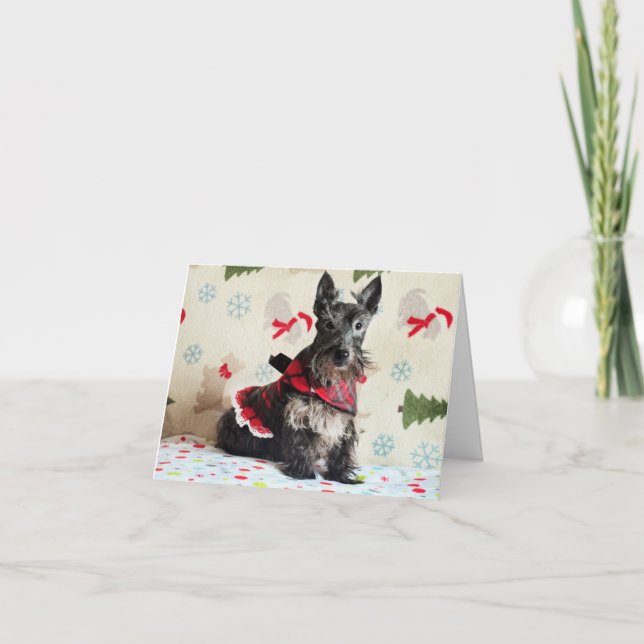 Cartão de Espera pelo Papai Noel Patas (com texto) (Frente)