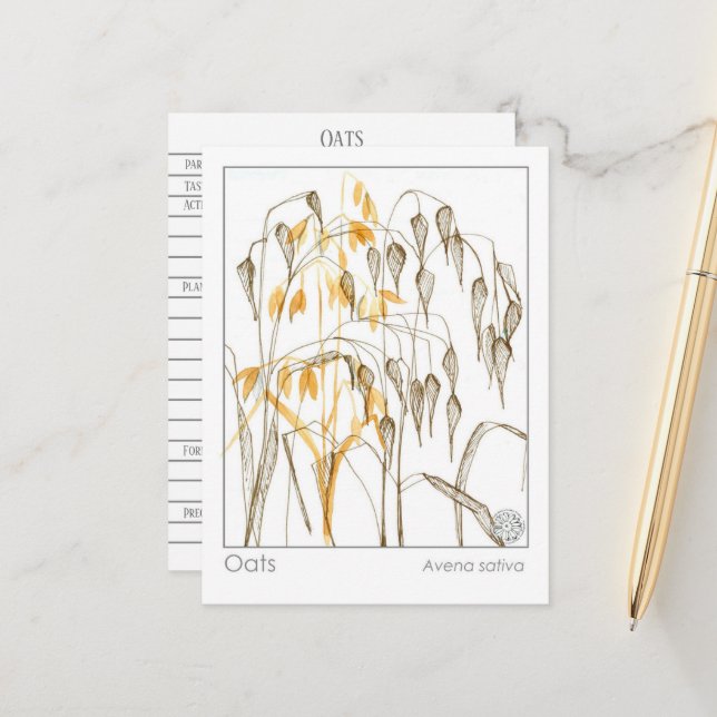 Cartão de Estudo à Base de Plantas Oats Grain Fite (Frente/Verso In Situ)