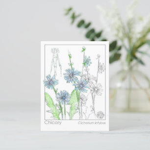 Cartão de Estudo à Base de Plantas sobre Matéria M