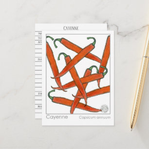 Cartão de Estudo à Herbal Cayenne Pepper Materia M