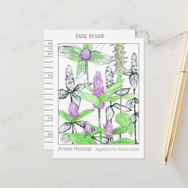 Cartão de Estudo de Ervas da Matéria Médica de Ani (Frente/Verso In Situ)