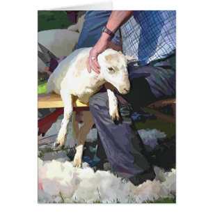 CARTÃO DE EXPLORAÇÃO