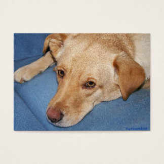 Cartão de Favor de Casamento (Exemplo)