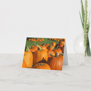 Cartão de Fazenda 4 da Pumpkins Roca Berry