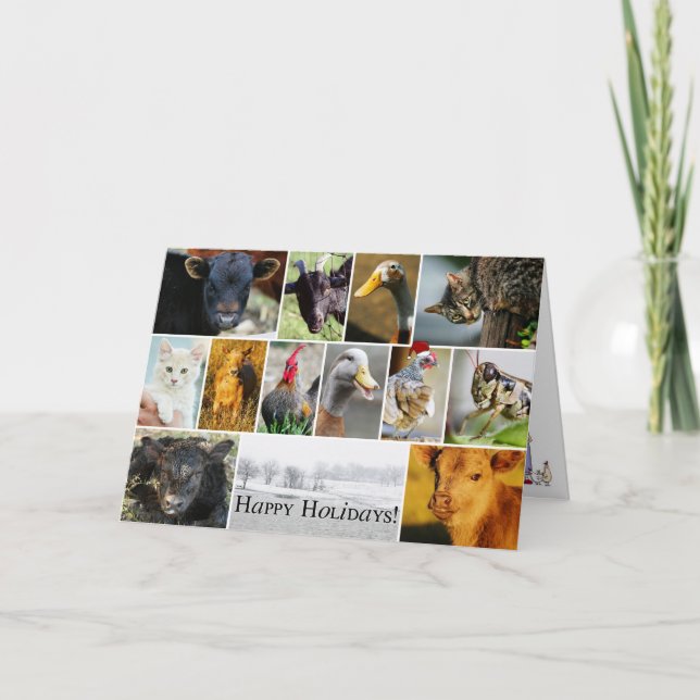 Cartão de FAZENDA de Férias (Frente)