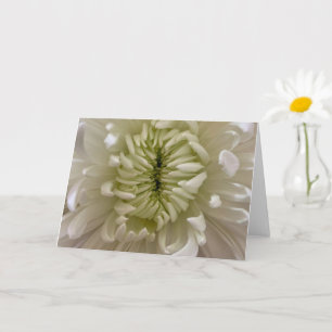 Cartão de Felicitações com Flores