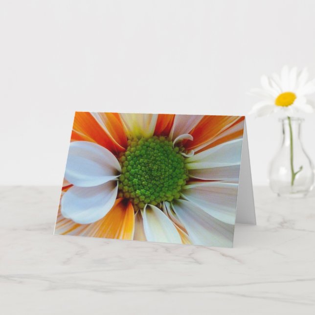 Cartão de Felicitações com Flores (Planta pequena)