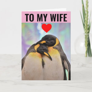 CARTÃO DE FELICITAÇÕES DE ANIVERSÁRIO DA ESPOSA PI