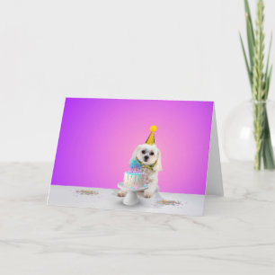 Cartão de Felicitações de Celebração - Em Branco P