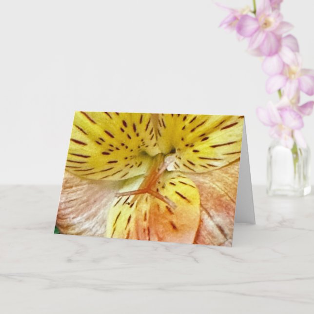 Cartão de Felicitações de Flores (Orquídea)