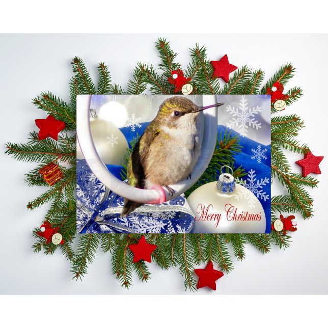 Cartão de Felicitações Dobrado (Criador carregado)