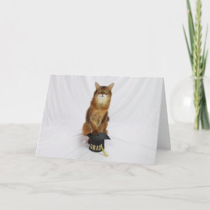 Cartão de Felicitações para Graduados com Gato Som