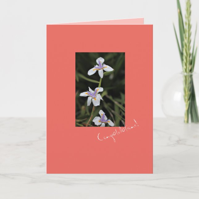 Cartão de Felicitações Wild Iris (Frente)