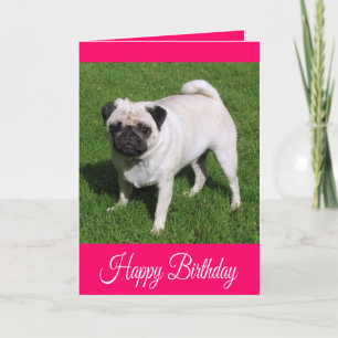 Cartão de Feliz Aniversário para Cachorro Pug Filh