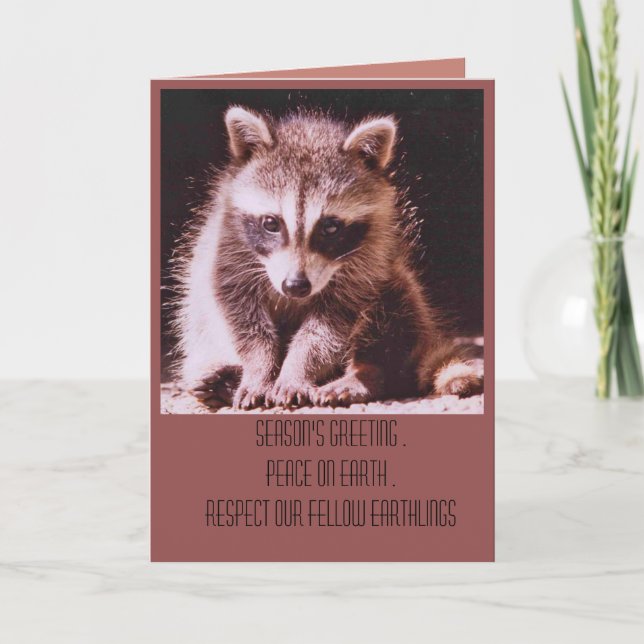 Cartão de Feriado de Cartões de natal Raccoon Kit (Frente)