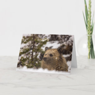 Cartão de Feriado "Maravilhoso"