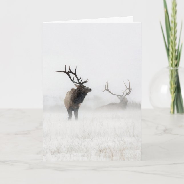 Cartão de Feriado "Perdido na Tempestade" (Frente)