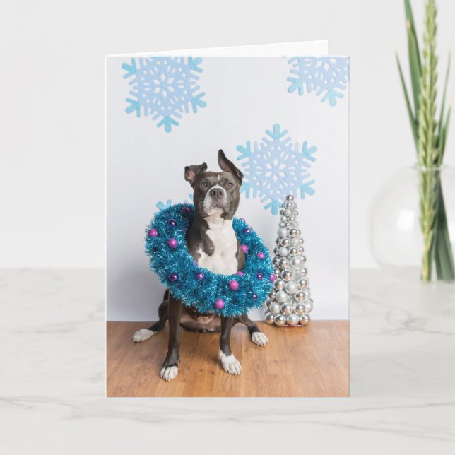 Cartão de férias (Frente)