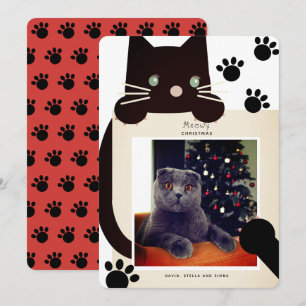Cartão de Férias Branco de Gato Preto de Natal