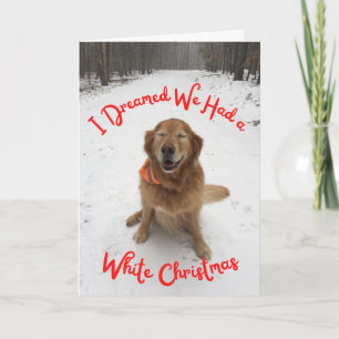Cartão de Férias Cão Sonhando com o Natal Branco