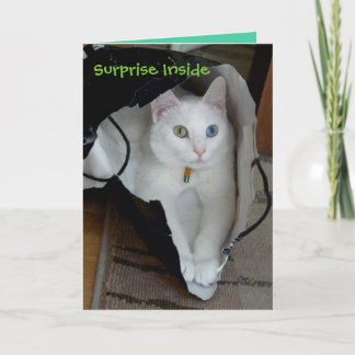 Cartão de férias com bagagem de serenidade