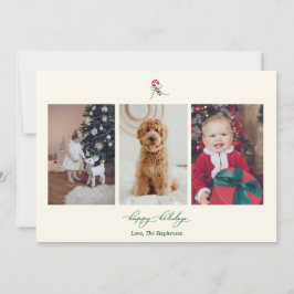 Cartão de Férias com Foto de Cana de Açúcar