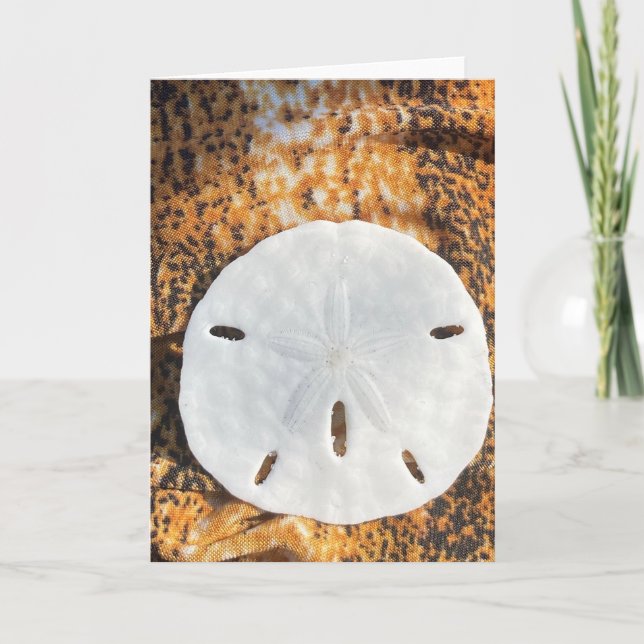 Cartão de Férias de Areia (Frente)