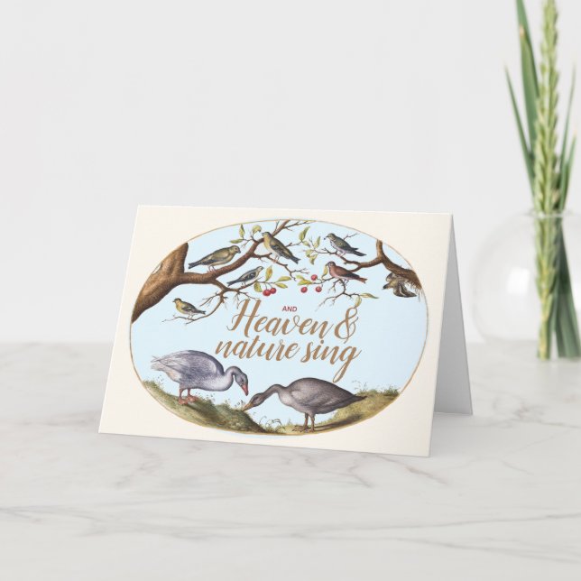 Cartão de Férias de Aves de Natal (Frente)