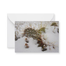 cartão de férias de cacto nevado