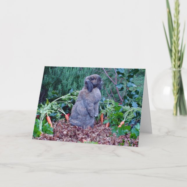 Cartão de Férias de Coelho (Frente)