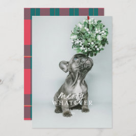 Cartão de Férias de Foto de Animalzinho Bobo Muito