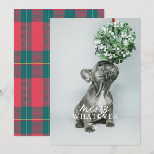 Cartão de Férias de Foto de Animalzinho Bobo Muito