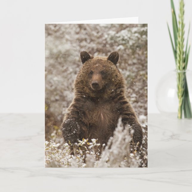 Cartão de Férias "Deixe-o nevar" (Frente)