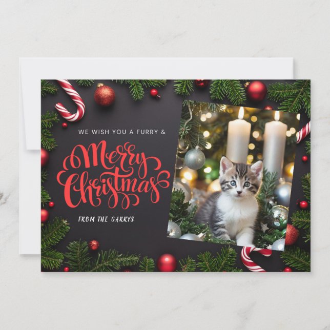 Cartão de férias do Cat Xmas (Frente)