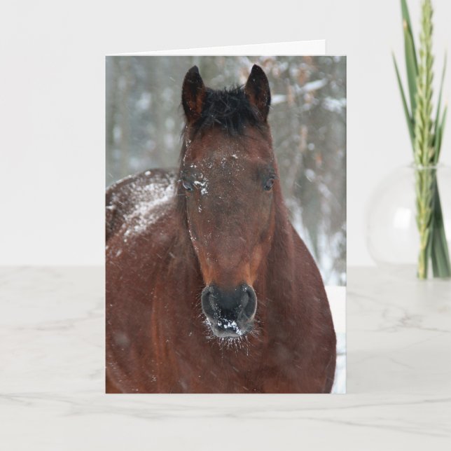 Cartão de Férias Feliz (Frente)