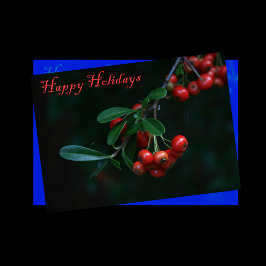 Cartão de Férias Feliz com Berries Vermelhos