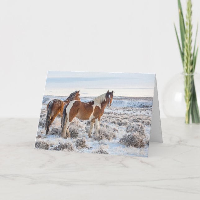 Cartão de férias "Frozen Dawn" (Frente)