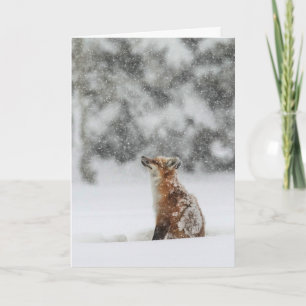 Cartão de Férias "Magia de Inverno"