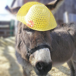 Cartão de Férias "O Coelhinho da Páscoa Real"