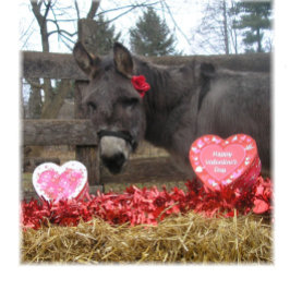 Cartão de Férias "Seja Meu Namorado!"