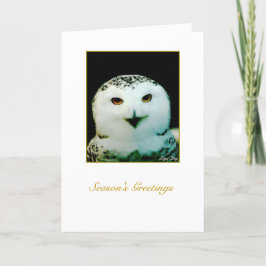 Cartão de Férias Snowy Owl - "Feliz Natal"