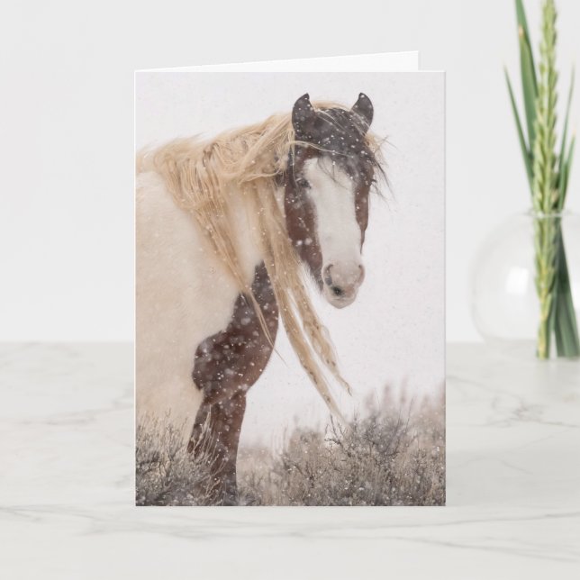 Cartão de Férias "Topeka in Winter" (Frente)