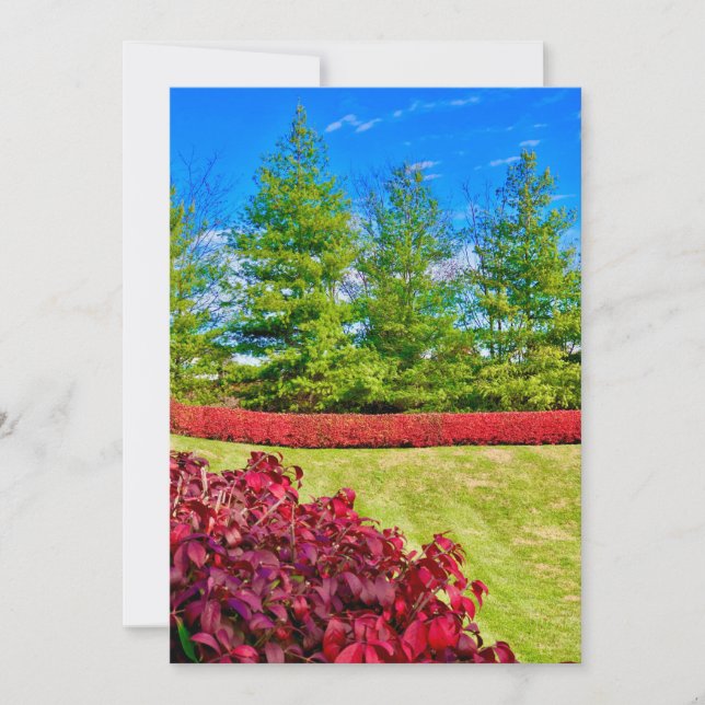 Cartão de Férias Vermelho e Verde (Frente)