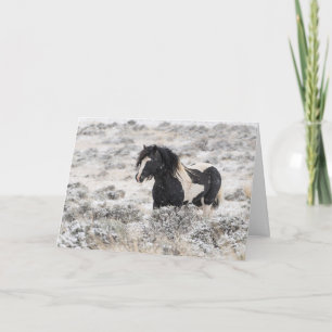 Cartão de férias "Washakie in Winter"